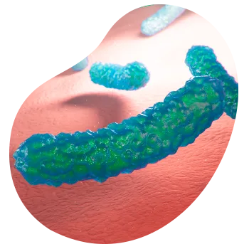Test de aliento Helicobacter Pylori